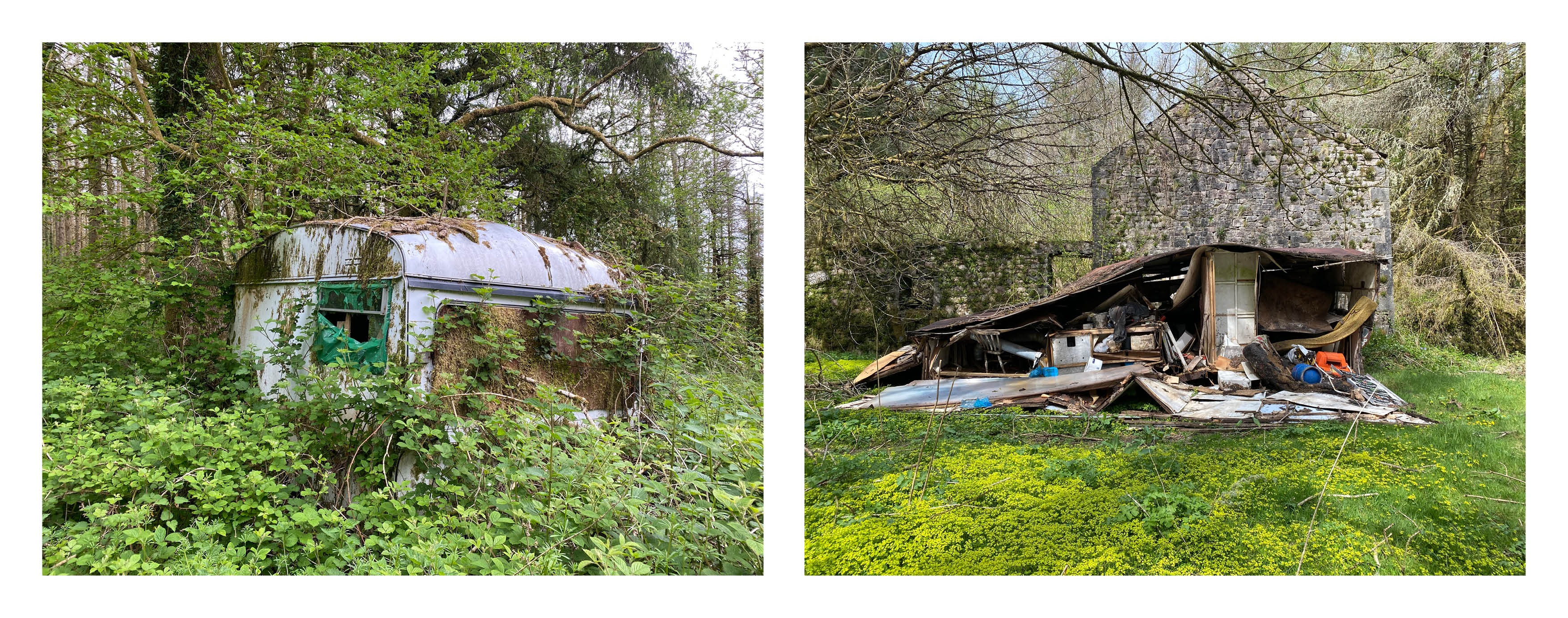 Diptych of overgrown, derelict structures in a wooded area.