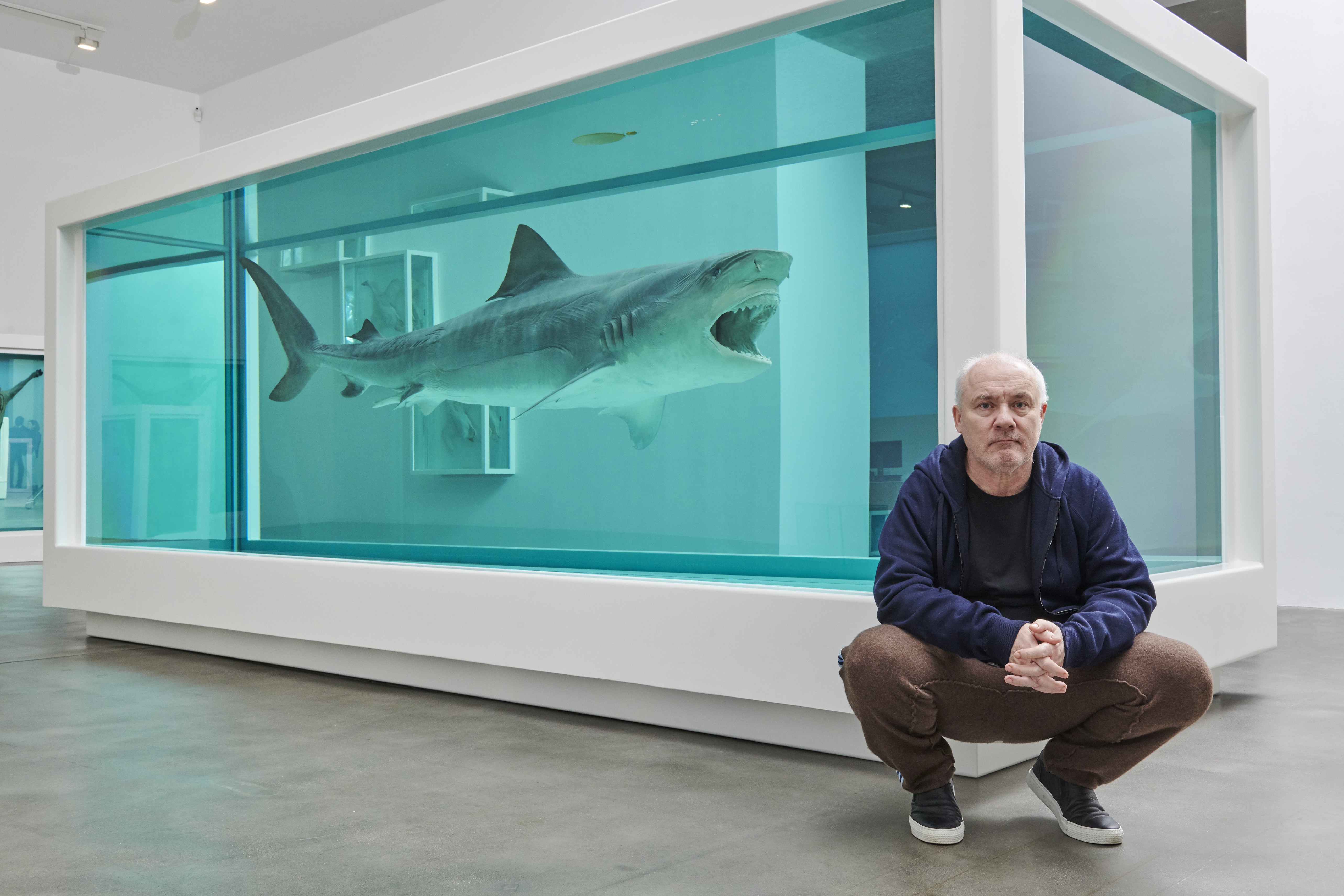 Damien Hirst crouching in front of his artwork, The Physical Impossibility of Death in the Mind of Someone Living, featuring a tiger shark preserved in formaldehyde.