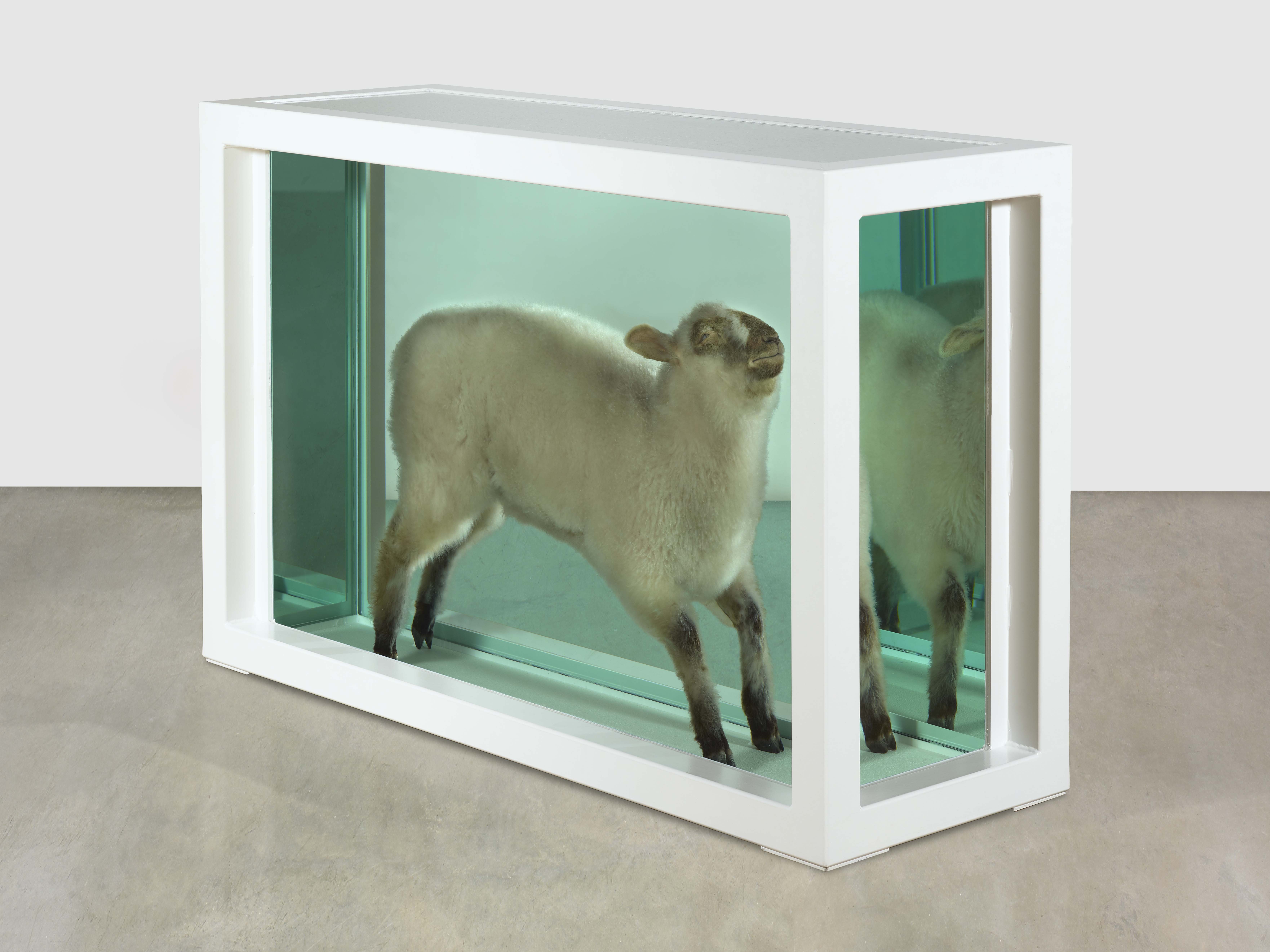 Artwork of a lamb preserved in formaldehyde inside a glass and steel case.