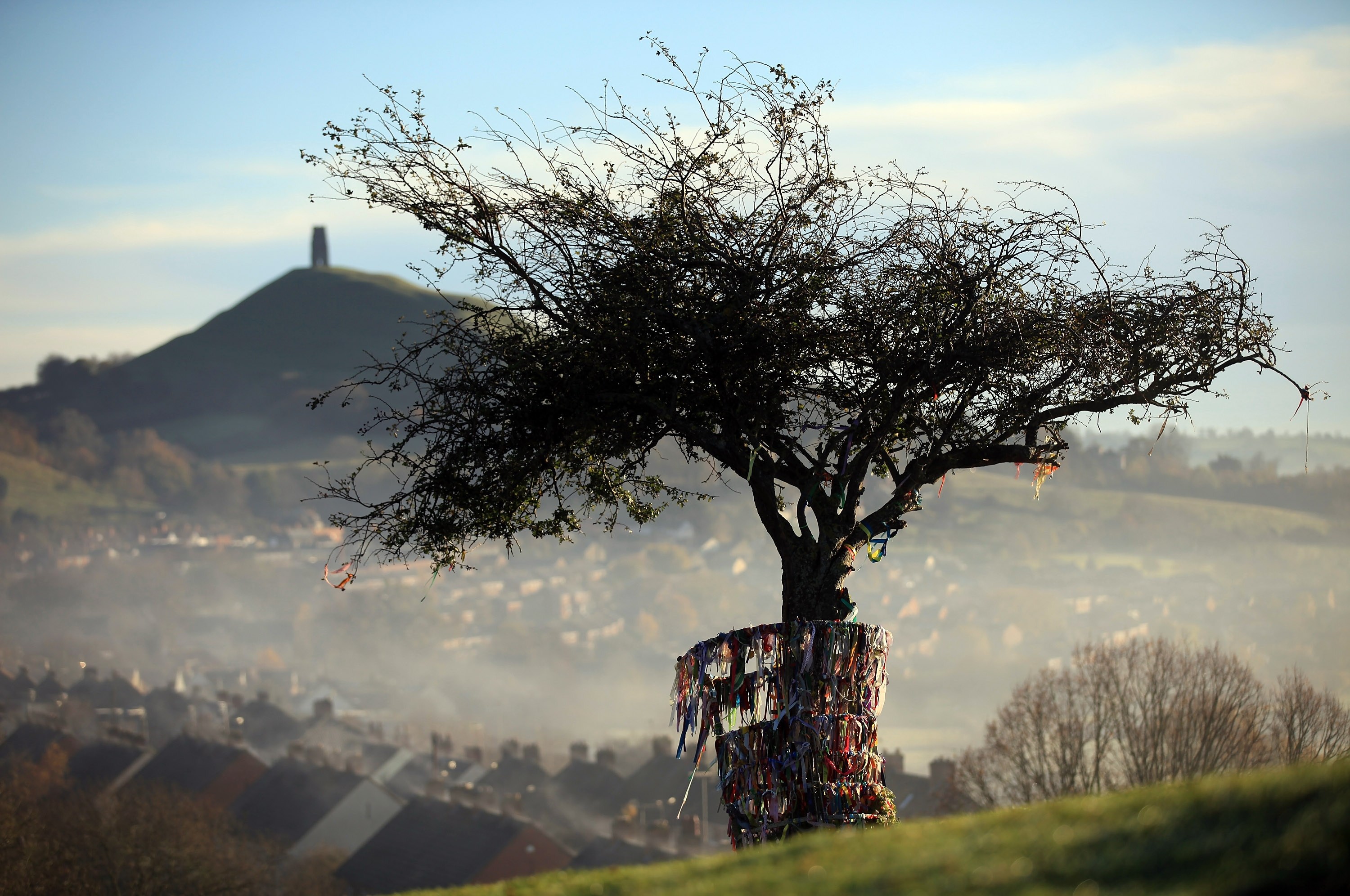 Winter sunrise over Somerset Levels, with a tree adorned with ribbons in the foreground and Glastonbury Tor in the background.